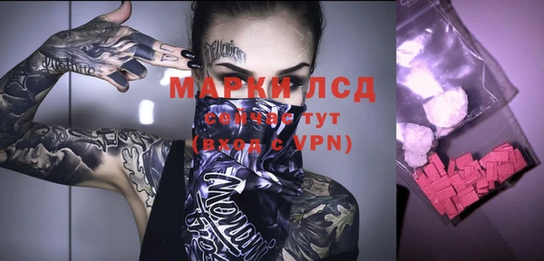 гидропоника Сатка