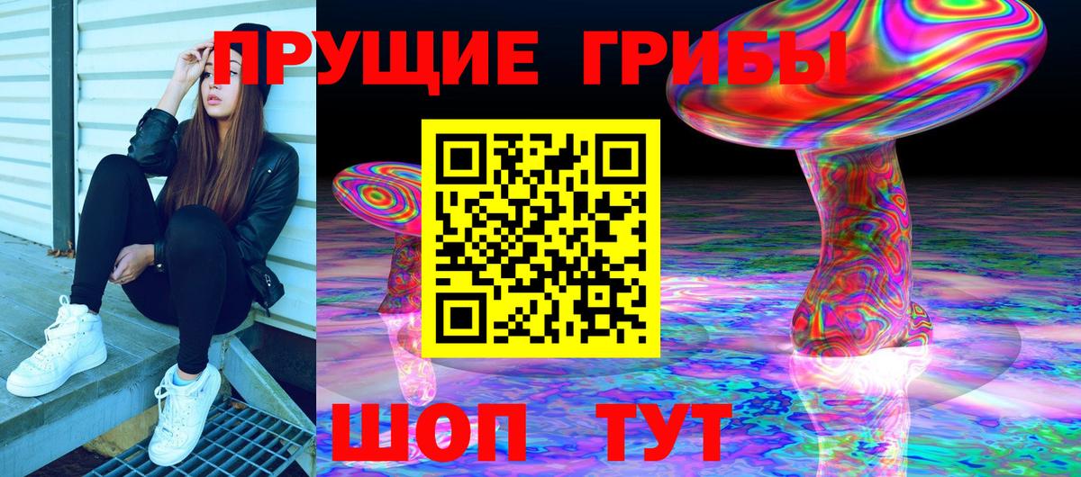 Галлюциногенные грибы Psilocybine cubensis Карпинск