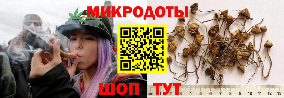 Карпинск  купить наркотики сайты  Вход с VPN  Галлюциногенные грибы Magic Shrooms 